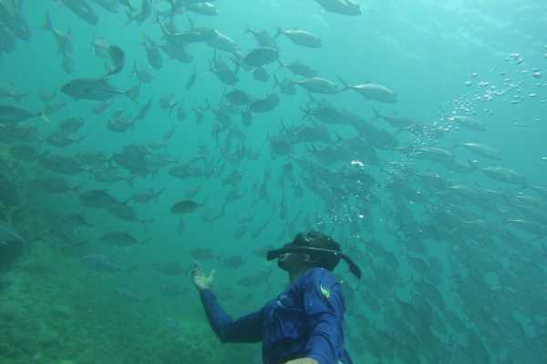 Snorkeling tour in Cano Island