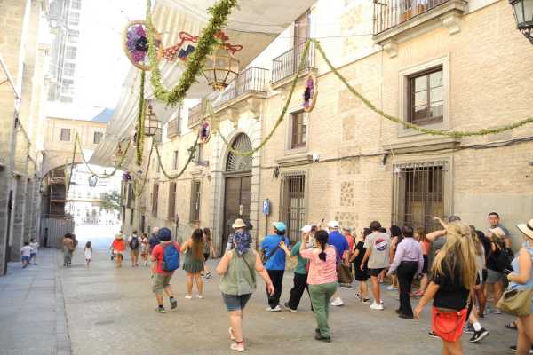 Toledo: Day & Half-Day Trips from Madrid
