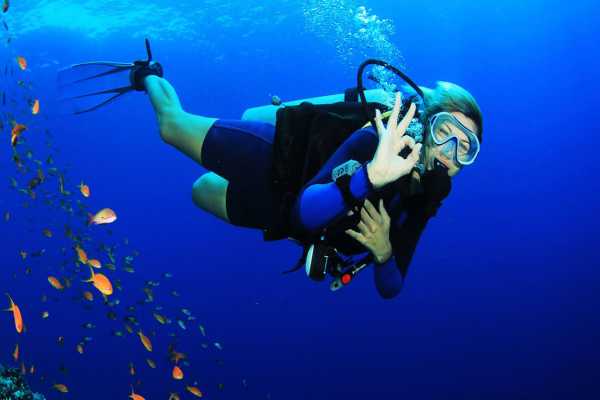 Scuba Diving 2 Dives from Sharm el-Sheikh