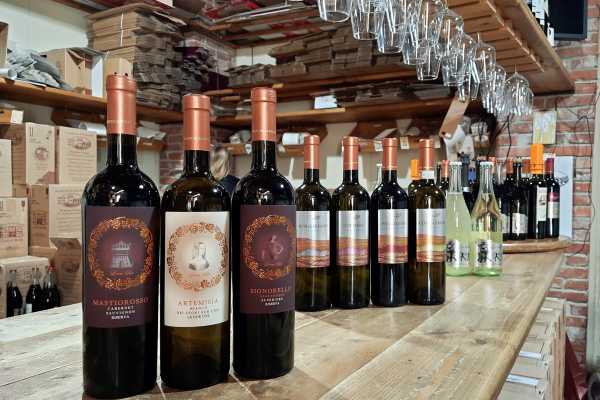 The Wine Trail between Dozza and Imola: Visit to the Poderi delle Rocche Winery