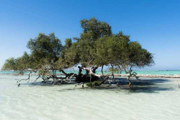 15-Day Egypt Itinerary with Pick up