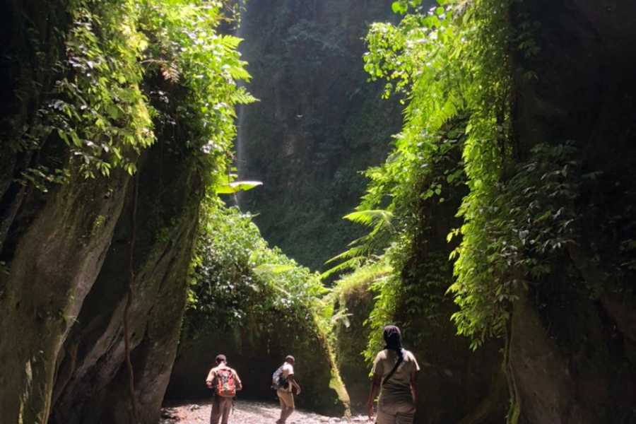 ARUSHA MOUNT MERU FOREST RESERVE - NAPURU WATERFALLS - 2hrs (Easy Level)