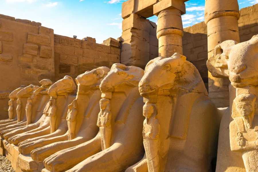 El Gouna Tours 10 day tour package from Marsa Alam