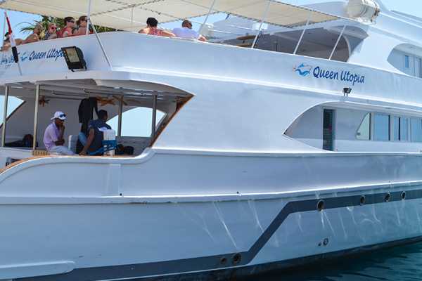 Red Sea Dolphin Boat from El Gouna