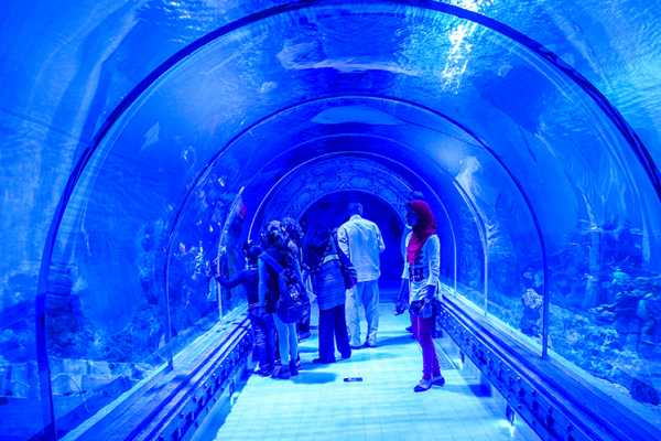 Hurghada Grand Aquarium Tour