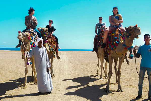 Camel Ride Hurghada Tour