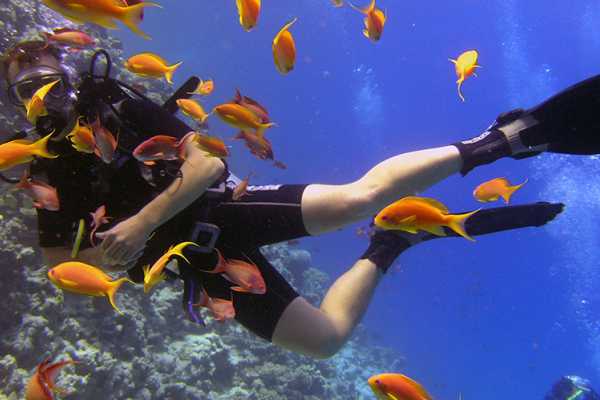 Snorkeling Trip at Giftun Island Hurghada