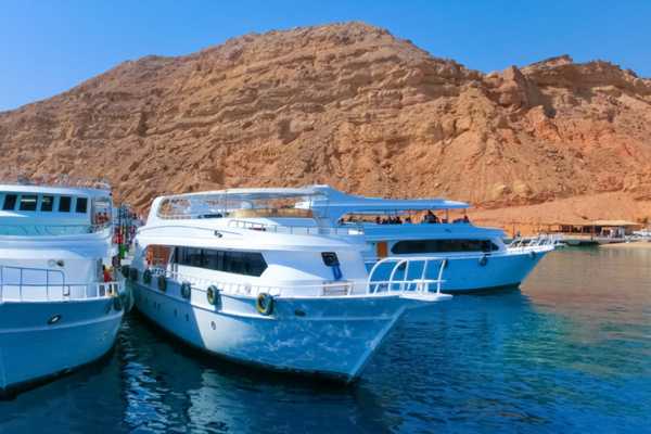 Private boat to Ras Mohamed National Park