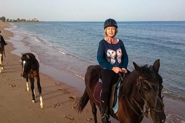 Makadi Bay Horse Ride Tour