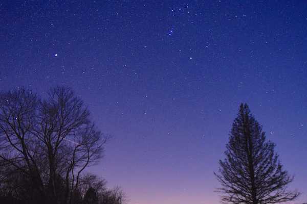 LE STELLE-VOCI DELLA NOTTE