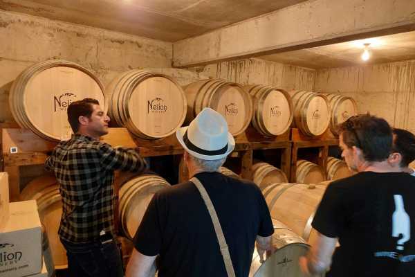Visit Nelion Winery at Pretori