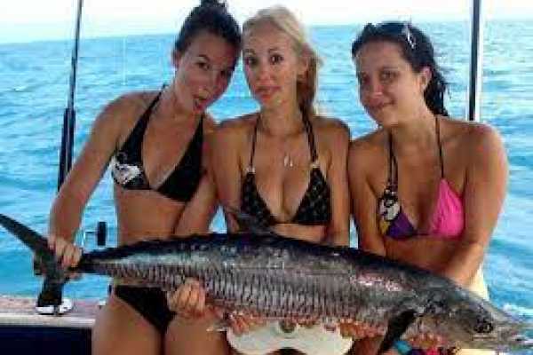 Red Sea Yacht Fishing from Cairo in Ain Sokhna ( private tour )
