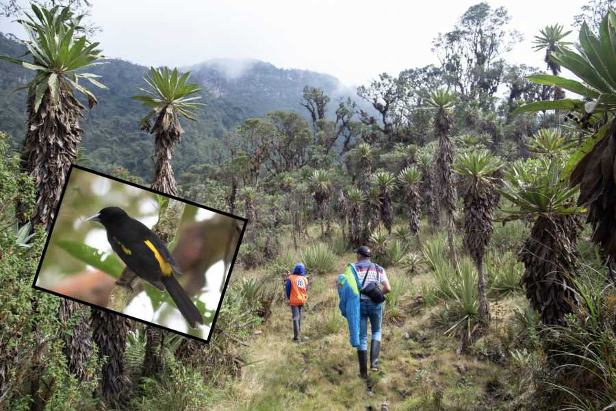 Andes Ecotours Maza Fonte Andes Mountain Trek