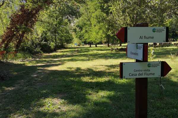 One night at the park