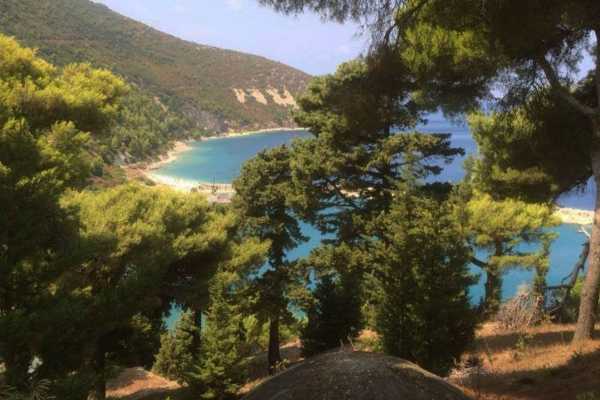 Visit The Island With Private Speedboat