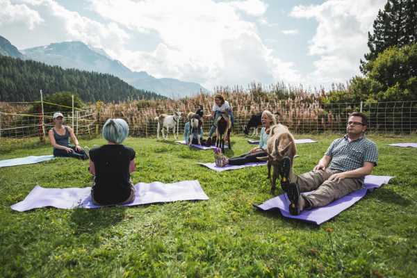 Geissen & Yoga in St. Moritz