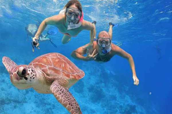 Abu Dabbab Dugong snorkeling excursions from Makadi
