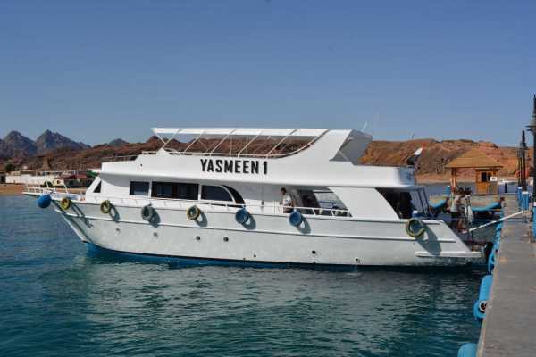 private Snorkeling boat trip from Soma bay to the Dolphin house.