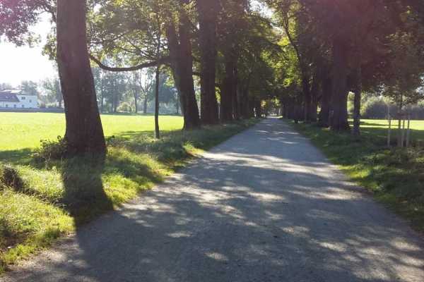 Salzburg mit dem Fahrrad entdecken