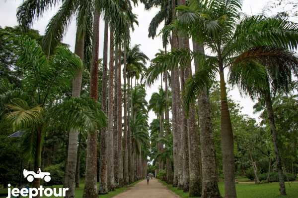 The Four Wonders Jeep Ride