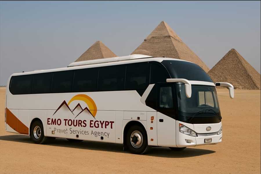 EMO TOURS EGYPT Hire a 50-Seat Coach Bus in Cairo | Group Transportation Service