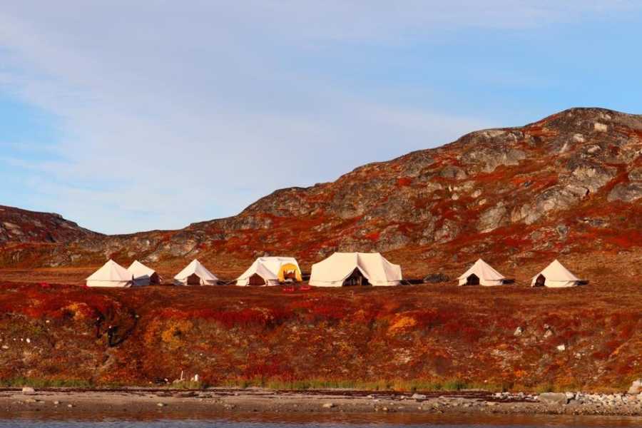 Diskobay Tours Camp Qinngua - din overnatning på din vandretur