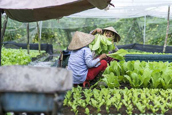 Cu Chi Tunnels & Countryside Experience (Boat & Van)