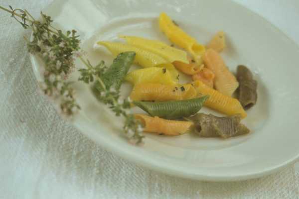 Stars, herbs and more: a journey into the heart of Romagna to discover the tradition of aromatic herbs and the modernity of the cuisine that does not waste.