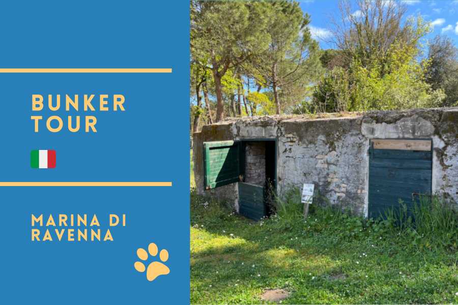 Bunker e Memoria - Marina di Ravenna e la Linea Galla Placidia