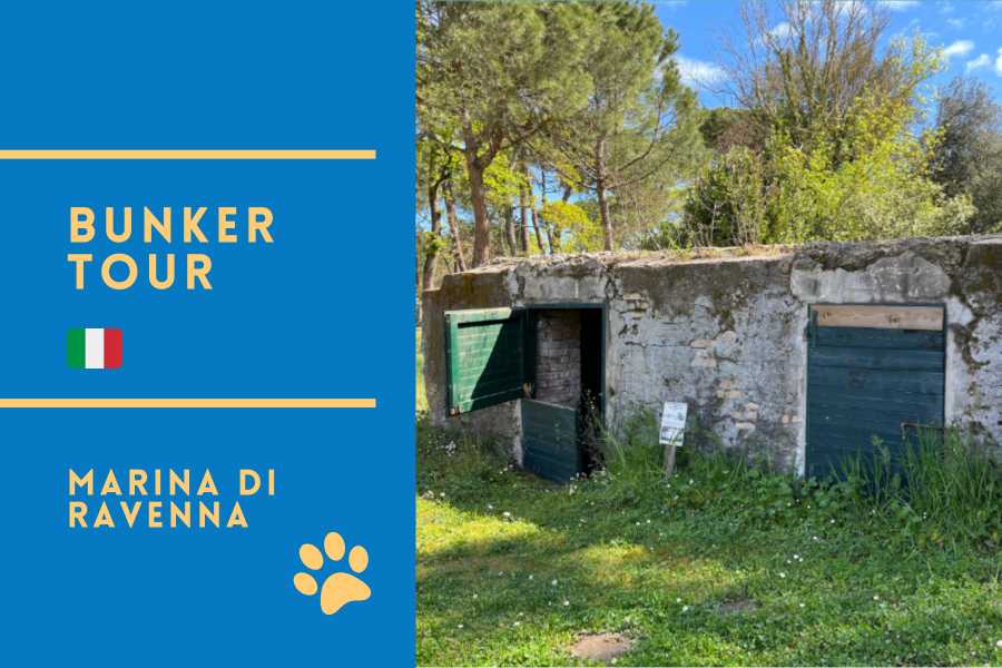 Bunker e Memoria - Marina di Ravenna e la Linea Galla Placidia