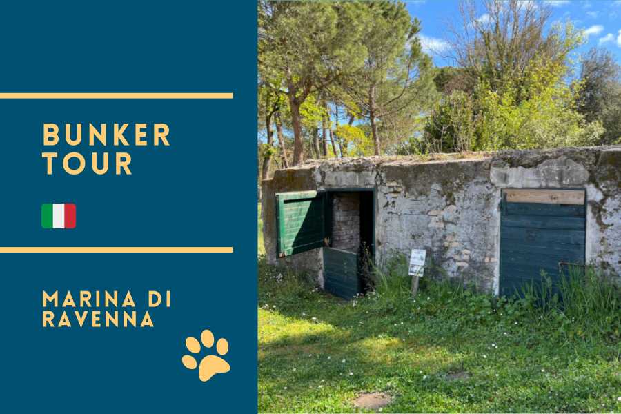 Bunker e Memoria - Marina di Ravenna e la Linea Galla Placidia