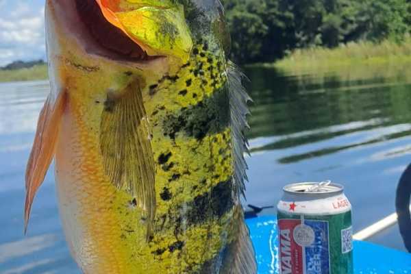 FILACP134 Gatun Lake Fishing 4h boat trip