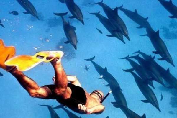 Marsa alam tours Private boat trip to Sataya dolphin Reef from Marsa Alam