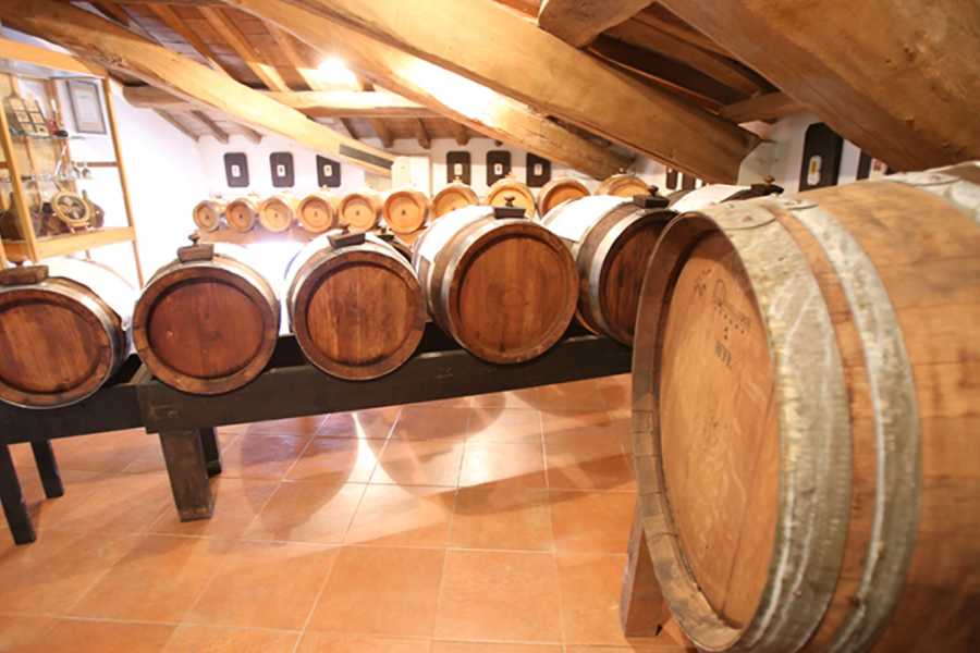 Modenatur Visita dell'acetaia Comunale di Carpi