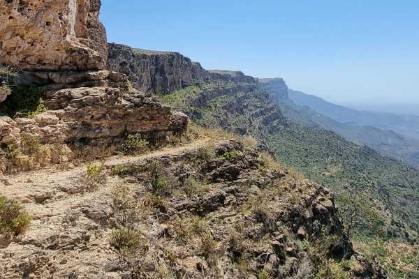 The Leopard Trail