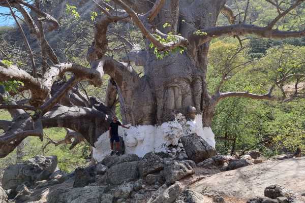 Wadi Hanna & The Baobab Tree Trail