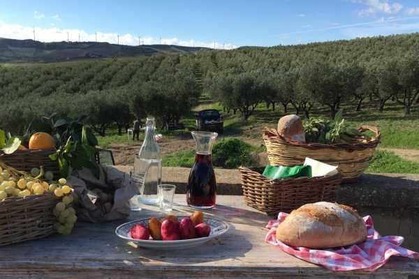 Oil and food tasting in provincia di Agrigento