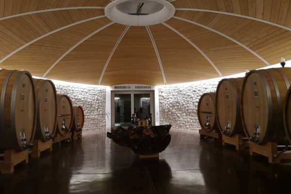 Between vineyards and gullies