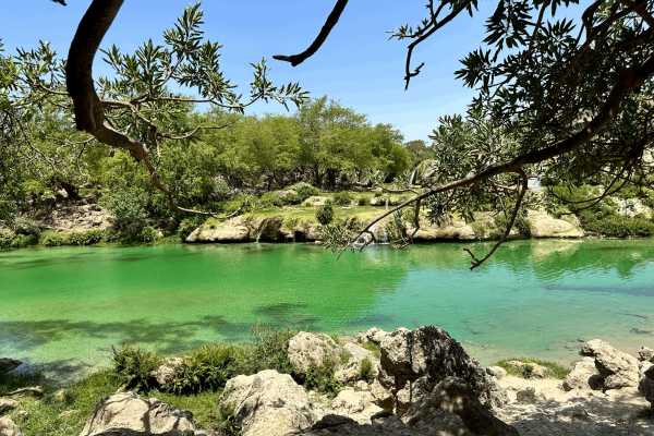 Private Custom Half Day Trip Salalah