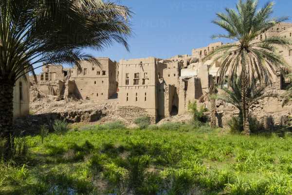 Birkat Al Mouz Hike (1 Day Tour), Al Maabialah, Seeb, Muscat, السيب ...