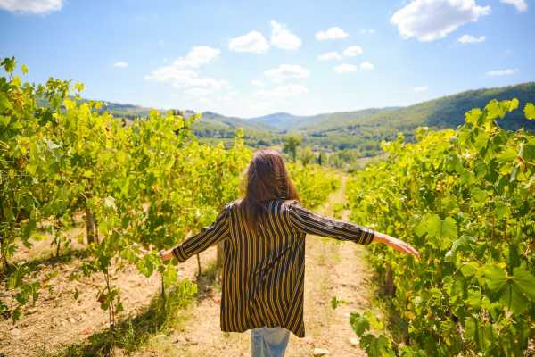 Chianti Vineyards half-day tour & 2 wine tastings