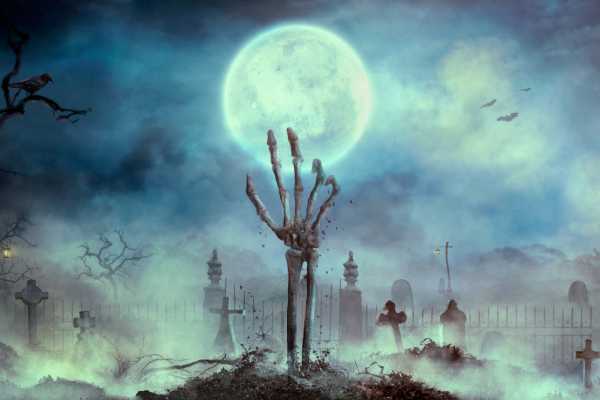 IL CAMMINO DEGLI ZOMBIE