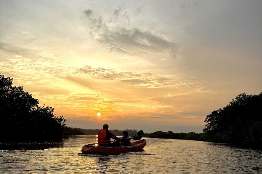 Aventuras Golfo Dulce SUNSET & BIOLUMINESCENCE KAYAKING