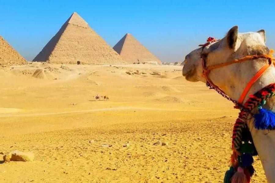 Egypt Tour packages Cairo Day tour from Soma bay by plane