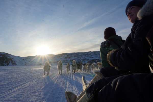 Dogsledding Adventure