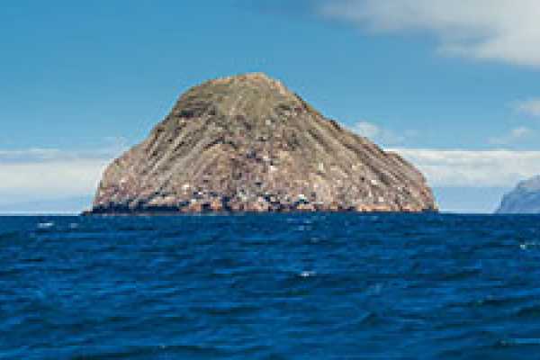 Gordon Rocks Daily Diving Tour