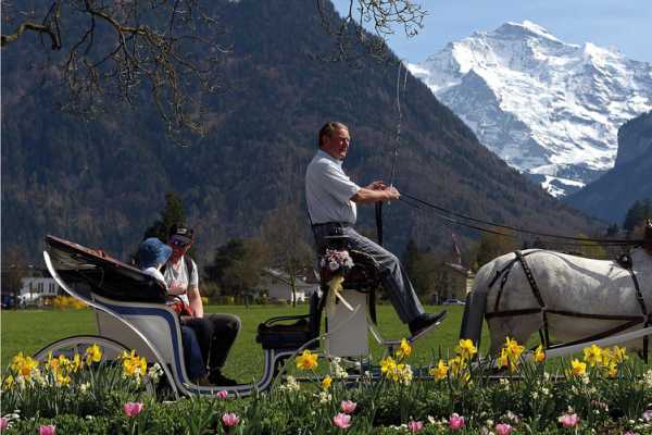 Interlaken Horse-Drawn Carriage Rides