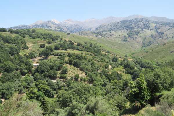 Destination Platanias Nature Road Trip