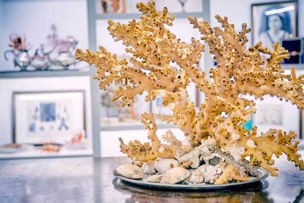 Laboratorio del corallo con visita al museo di Sciacca