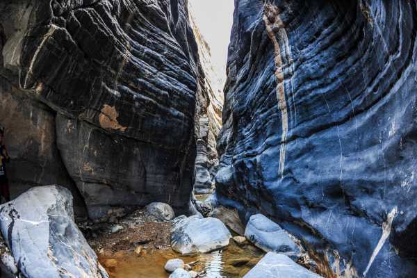 Snake Canyon